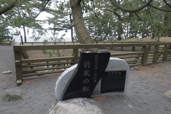 羽衣の松
