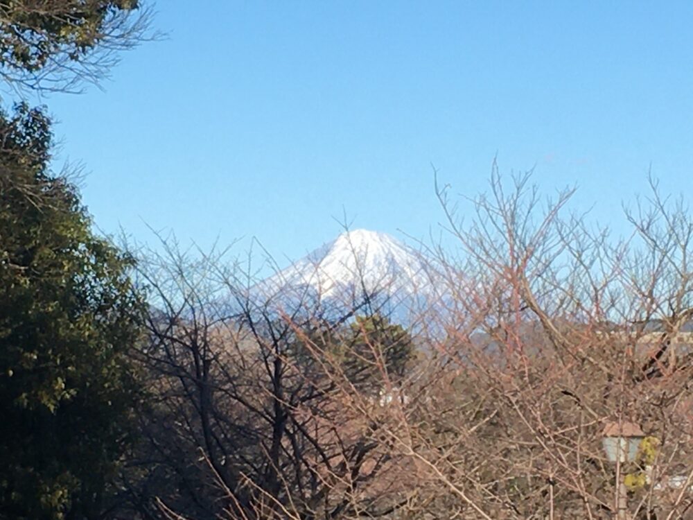 駿府公園からの富士山